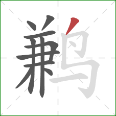 鹣的笔顺第11画:撇 鹣的笔顺第11画:撇