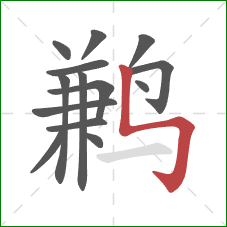 鹣的笔顺第14画:竖折折钩 鹣的笔顺第14画:竖折折钩