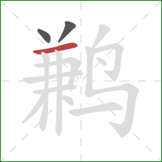 鹣的笔顺第3画:横 鹣的笔顺第3画:横