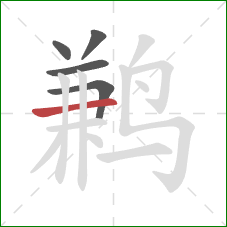 鹣的笔顺第5画:横 鹣的笔顺第5画:横