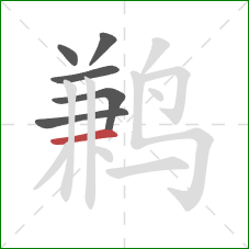 鹣的笔顺第6画:横 鹣的笔顺第6画:横