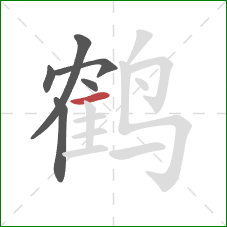 鹤的笔顺第6画：横