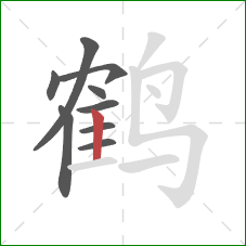 鹤的笔顺第9画：竖