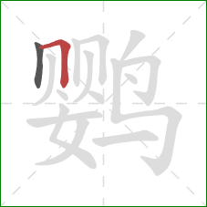 鹦的笔顺第2画：横折