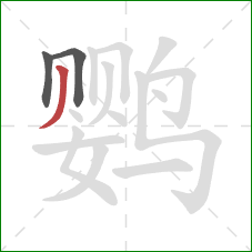 鹦的笔顺第3画：撇