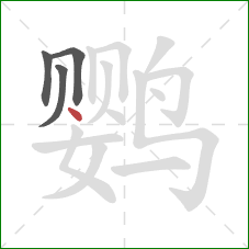 鹦的笔顺第4画：点