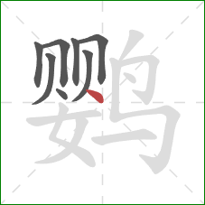 鹦的笔顺第8画：点