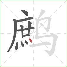 鹧的笔顺第11画:点 鹧的笔顺第11画:点