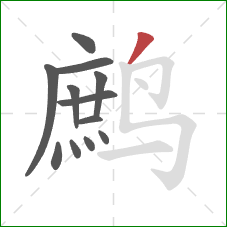 鹧的笔顺第12画:撇 鹧的笔顺第12画:撇