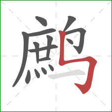 鹧的笔顺第15画:竖折折钩 鹧的笔顺第15画:竖折折钩