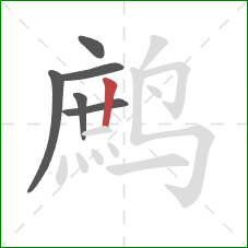 鹧的笔顺第6画:竖 鹧的笔顺第6画:竖
