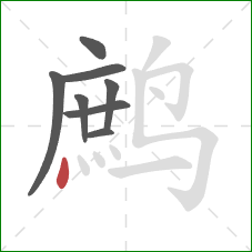 鹧的笔顺第8画:点 鹧的笔顺第8画:点