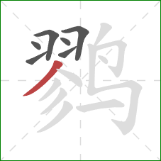 鹨的笔顺第7画：撇