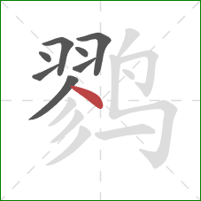鹨的笔顺第8画：点