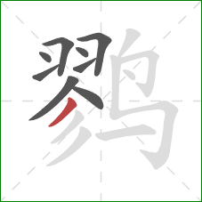 鹨的笔顺第9画：撇