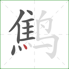鹪的笔顺第11画：点