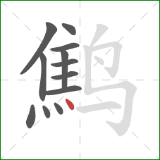 鹪的笔顺第12画：点