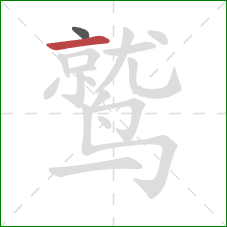 鹫的笔顺第2画：横