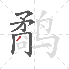 鹬的笔顺第8画:撇 鹬的笔顺第8画:撇