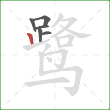 鹭的笔顺第6画:竖 鹭的笔顺第6画:竖