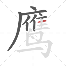 鹰的笔顺第10画：横