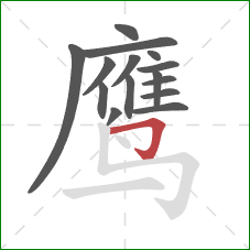 鹰的笔顺第15画：横折钩