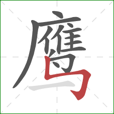 鹰的笔顺第17画：竖折折钩