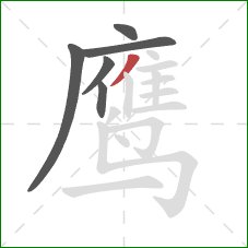 鹰的笔顺第6画：撇