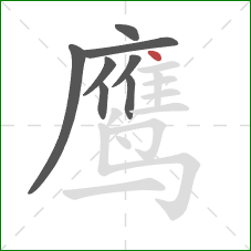 鹰的笔顺第8画：点