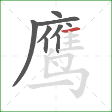 鹰的笔顺第9画：横