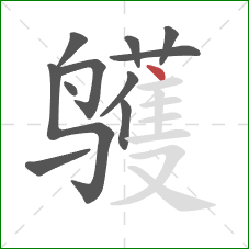 鹱的笔顺第11画：点