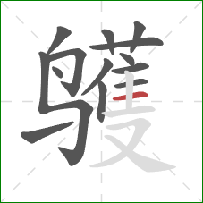 鹱的笔顺第14画：横