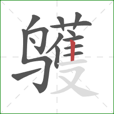 鹱的笔顺第15画：竖