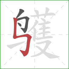 鹱的笔顺第4画：竖折折钩