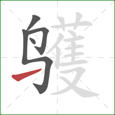 鹱的笔顺第5画：提
