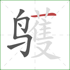 鹱的笔顺第6画：横