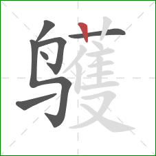 鹱的笔顺第7画：竖