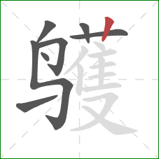 鹱的笔顺第8画：竖