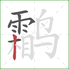 鹴的笔顺第10画:竖 鹴的笔顺第10画:竖