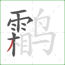 鹴的笔顺第11画:撇 鹴的笔顺第11画:撇