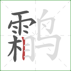 鹴的笔顺第13画:竖 鹴的笔顺第13画:竖