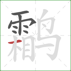 鹴的笔顺第9画:横 鹴的笔顺第9画:横