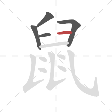 鼠的笔顺第5画：横