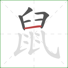 鼠的笔顺第6画：横