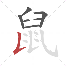 鼠的笔顺第7画：竖提