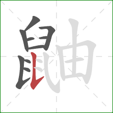鼬的笔顺第10画：竖提