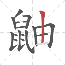 鼬的笔顺第17画：竖