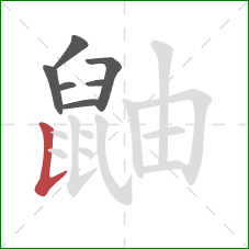 鼬的笔顺第7画：竖提