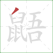 鼯的笔顺第1画：撇