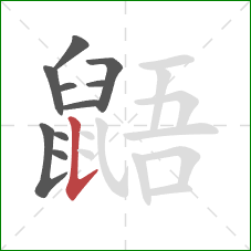 鼯的笔顺第10画：竖提